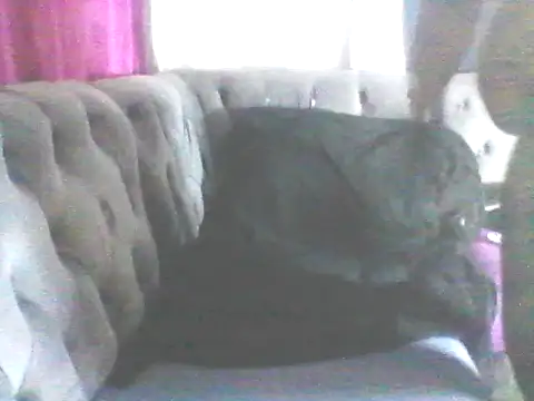 Wanderkid33 online show from January 17, 7:39 pm