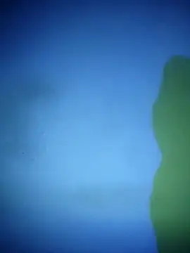 waspy online show from March 7, 9:17 pm