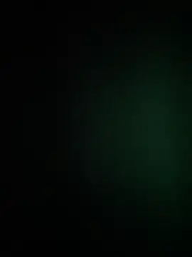 waspy online show from December 4, 11:31 am