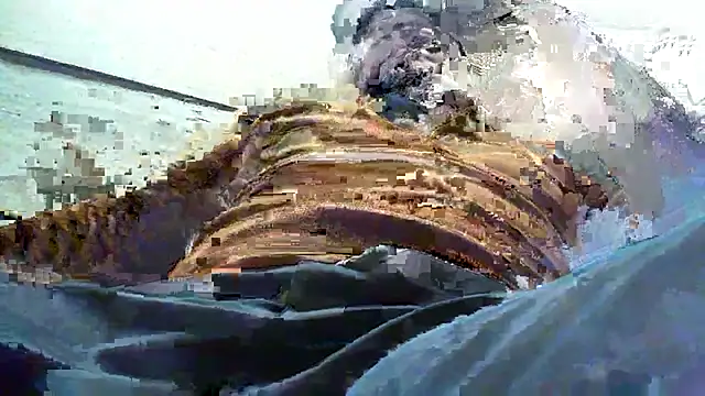 Snapshot of Billywax chatting on January 8, 9:15 am Billywax online show from January 8, 9:15 am