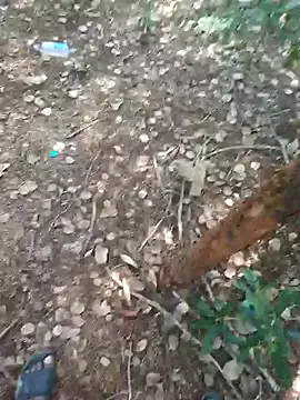 rameshmry1 online show from February 21, 9:00 am