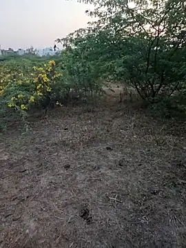 rameshmry1 online show from March 5, 12:35 pm