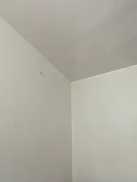 mochamimi online show from March 20, 2:07 pm