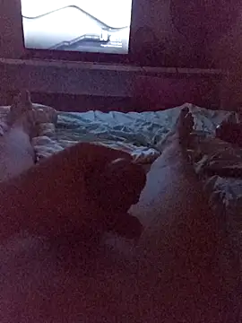 Kira-san online show from November 24, 3:17 am