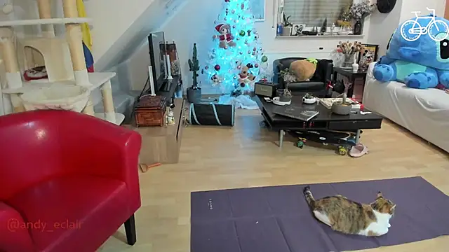 tinny williams online show from December 3, 4:24 am