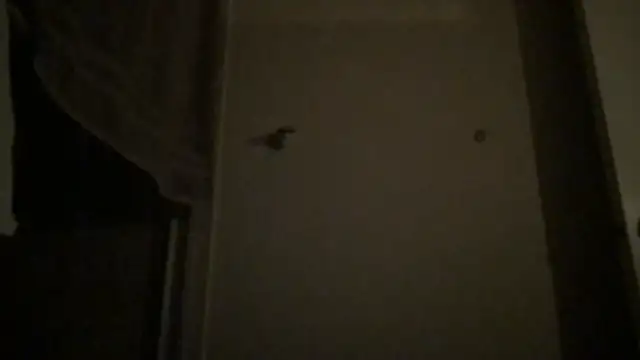 BigGuyMuscle online show from April 4, 4:08 am