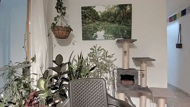 Snapshot of sexnherbs chatting on February 11, 12:43 am sexnherbs online show from February 11, 12:43 am