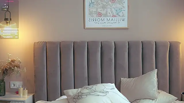 Snapshot of SanySenise chatting on February 19, 8:12 am SanySenise online show from February 19, 8:12 am