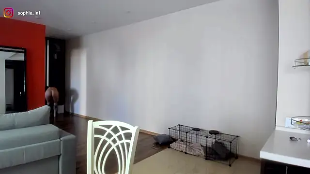  in yan online show from March 16, 4:31 am