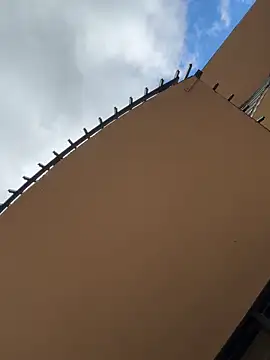 short sweetpea online show from September 12, 5:56 pm