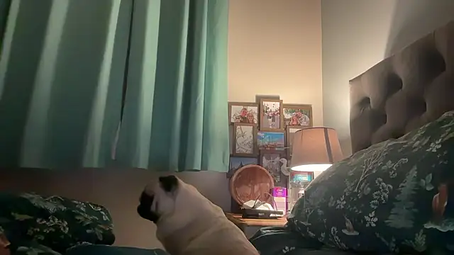 short sweetpea online show from January 12, 6:09 am