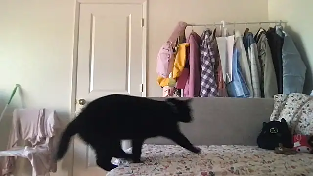 Snapshot of HYPHYtype chatting on September 20, 5:40 pm HYPHYtype online show from September 20, 5:40 pm