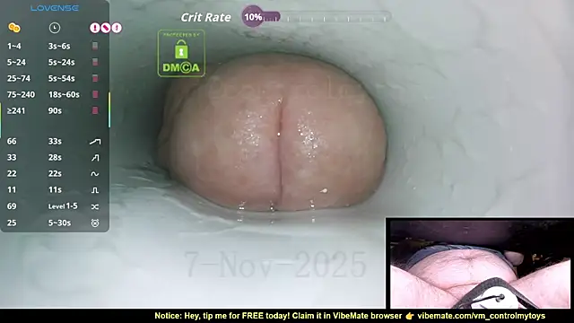 Snapshot of controlmytoys chatting on November 7, 9:19 pm controlmytoys online show from November 7, 9:19 pm