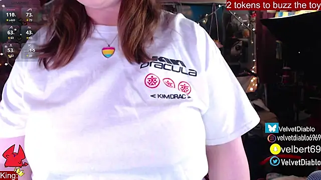 Snapshot of VelvetDiablo chatting on February 25, 1:41 am VelvetDiablo online show from February 25, 1:41 am