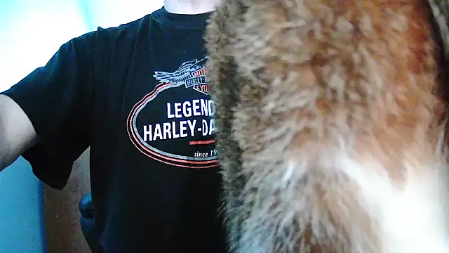 Niko slave online show from December 19, 10:34 am