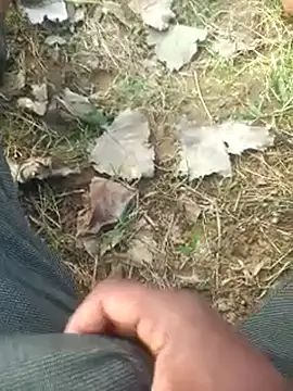 FinableKnee online show from October 6, 3:08 am