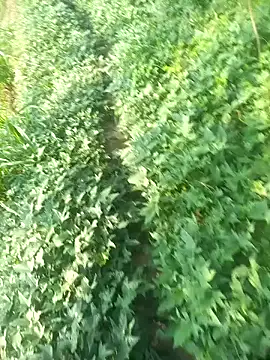 FinableKnee online show from October 9, 3:29 am