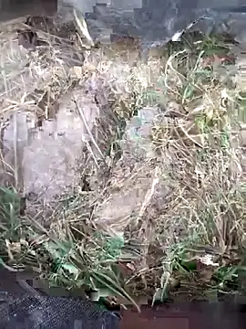 FinableKnee online show from October 11, 4:24 am