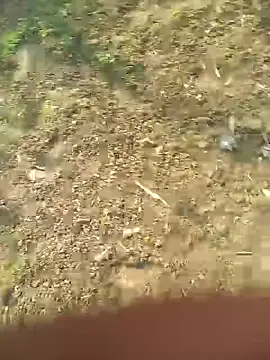 FinableKnee online show from October 27, 5:08 am