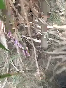 FinableKnee online show from September 18, 4:48 am