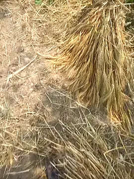 FinableKnee online show from April 8, 5:31 am