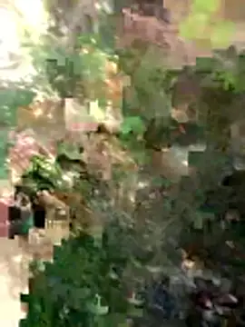 FinableKnee online show from March 26, 4:44 am