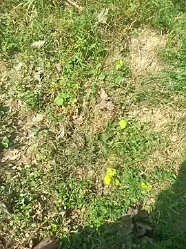 FinableKnee online show from October 15, 5:06 am