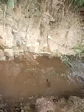 FinableKnee online show from October 23, 3:49 am