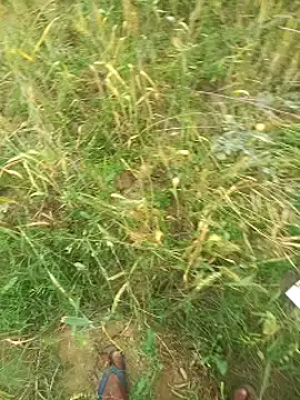 FinableKnee online show from March 29, 4:14 am