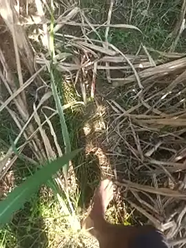 FinableKnee online show from October 16, 4:43 am