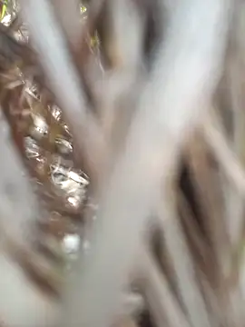 FinableKnee online show from September 19, 4:49 am