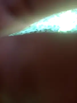 FinableKnee online show from September 24, 5:03 am