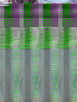 Snapshot of Alicbranca chatting on September 17, 4:42 pm Alicbranca online show from September 17, 4:42 pm