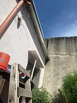 Alicbranca online show from February 26, 2:06 pm