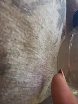 Alicbranca online show from March 19, 12:38 pm