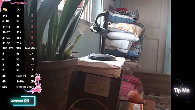 Star-Night online show from February 1, 4:11 am