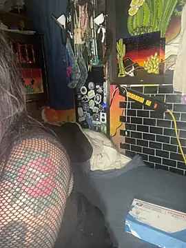 Snapshot of 1-800-FUCKYOU chatting on January 4, 2:56 am 1-800-FUCKYOU online show from January 4, 2:56 am