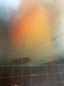 Snapshot of Mark3706 chatting on September 21, 11:04 am Mark3706 online show from September 21, 11:04 am