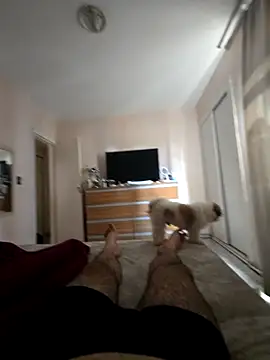 MysterBearMG online show from October 25, 5:13 pm