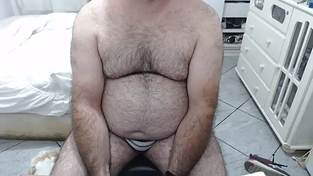 MysterBearMG online show from November 11, 12:05 am