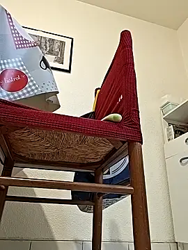 sile2000nou online show from December 14, 8:09 am