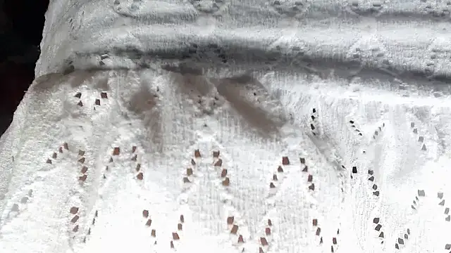 aleera starxx982 online show from January 11, 12:01 pm