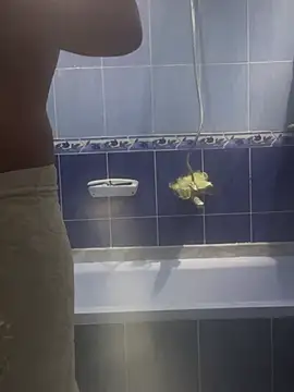 Arabien Pharaoh- online show from March 20, 5:58 pm