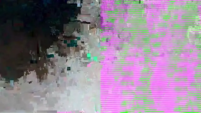 PUSSYundBAER online show from December 21, 1:52 am