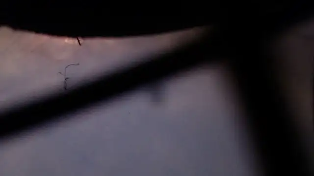 Cordt27 online show from February 12, 4:07 pm