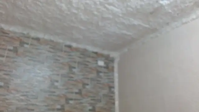 omar alurba online show from December 4, 5:12 pm