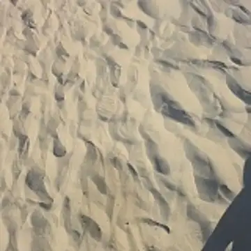 Trucker Hunter online show from October 26, 3:45 pm