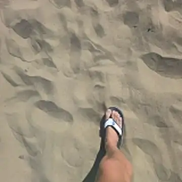 Trucker Hunter online show from February 8, 11:41 am