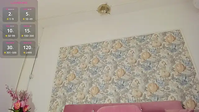 illegal lorry online show from February 20, 6:19 am