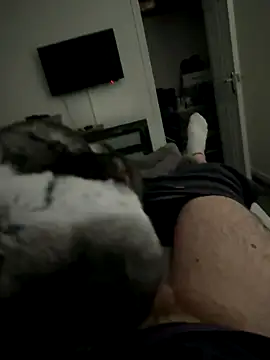 Furdale online show from October 2, 3:37 pm